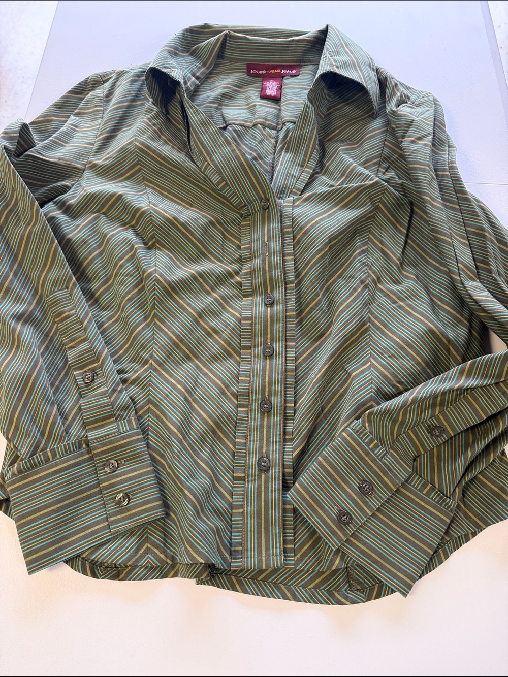 Woman’s Jones Wear Green and Teal Striped Dress Shirt, Size XL